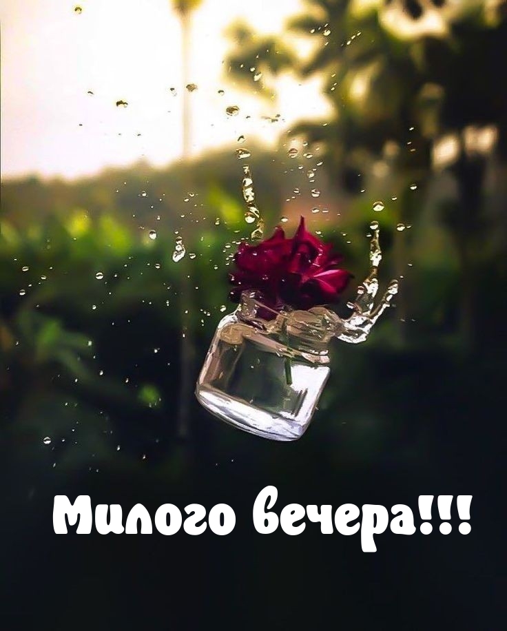 ������ ������!
