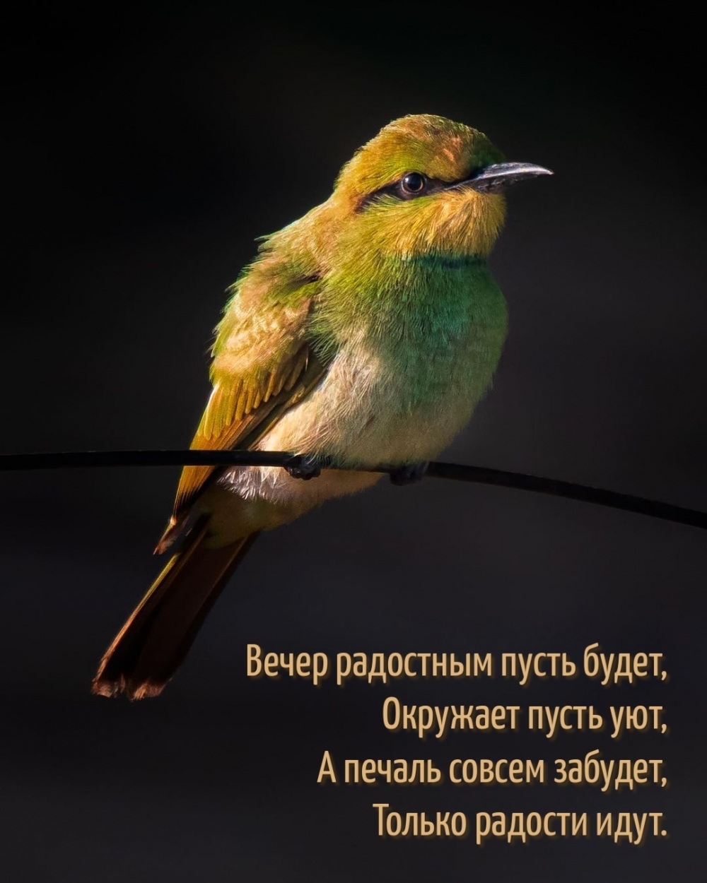 ����� ��������� ����� �����, �������� ����� ���