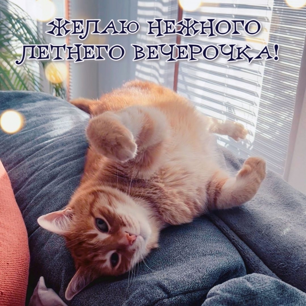����� ������� ������� ���������!