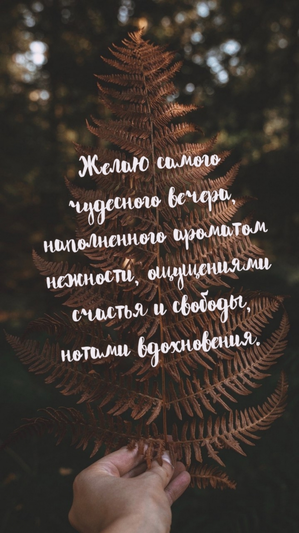 ����� ������ ��������� ������, ������������ �������� ��������