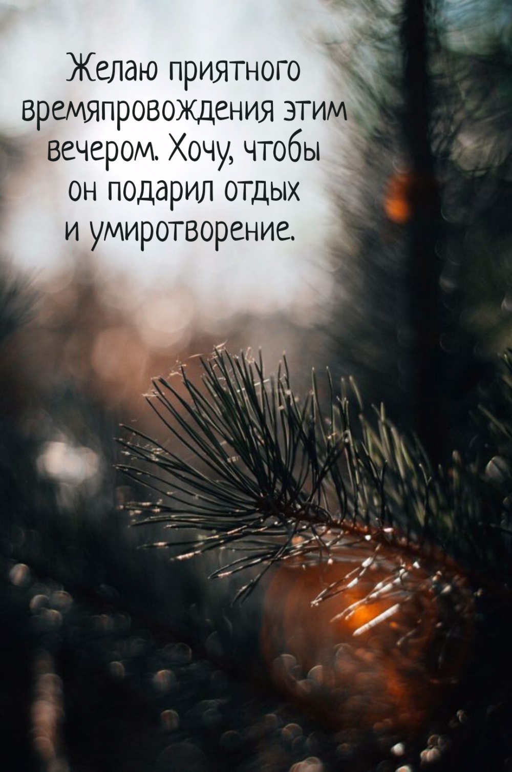 ����� ��������� ���������������� ���� �������.