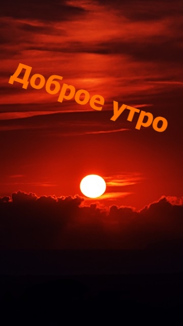 ������ ����