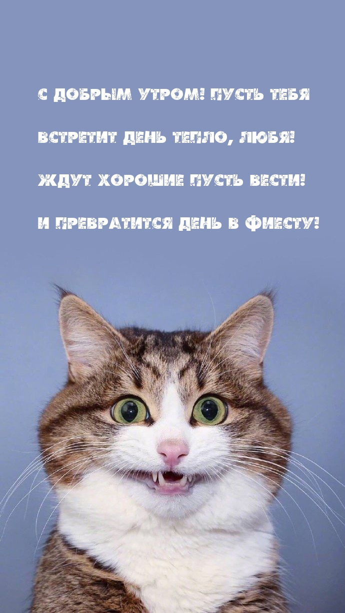 � ������ �����! ����� ���� �������� ���� �����, ����!