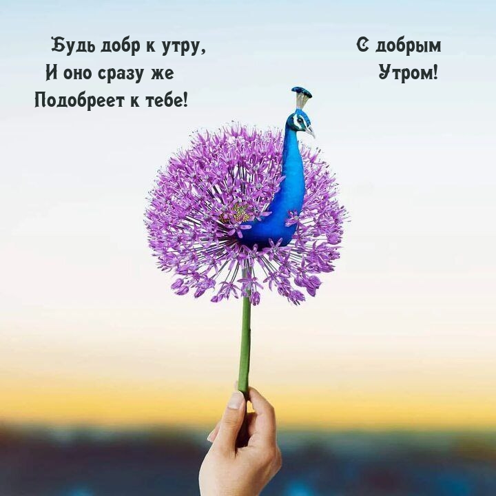 � ������ �����! ���� ���� � ����