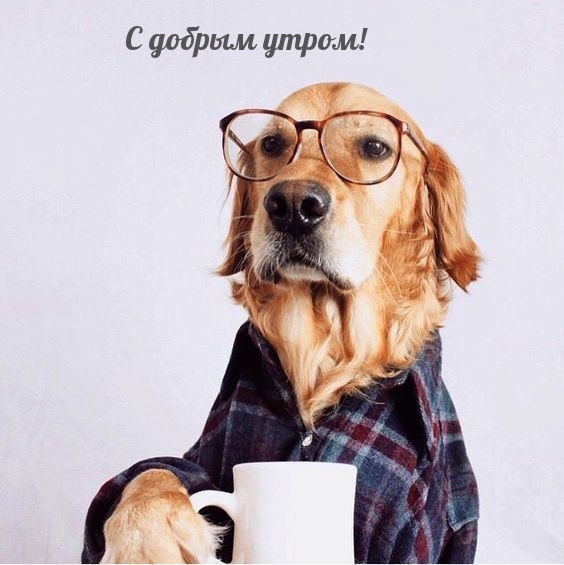 � ������ �����!
