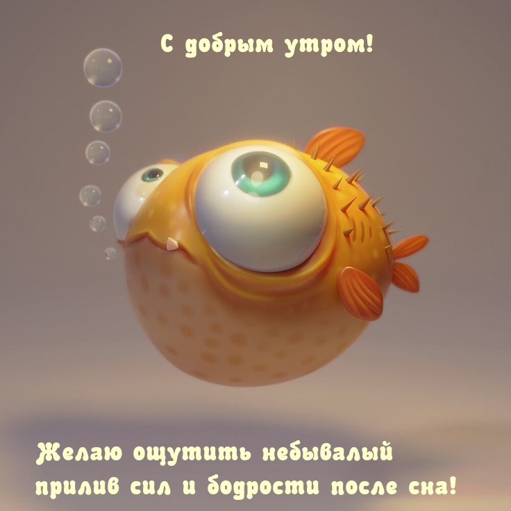 ����� ������� ��������� ������ ��� � �������� ����� ���! 