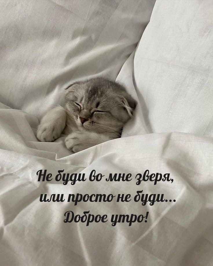 �� ���� �� ��� �����, ��� ������ �� ����... ������ ����! 