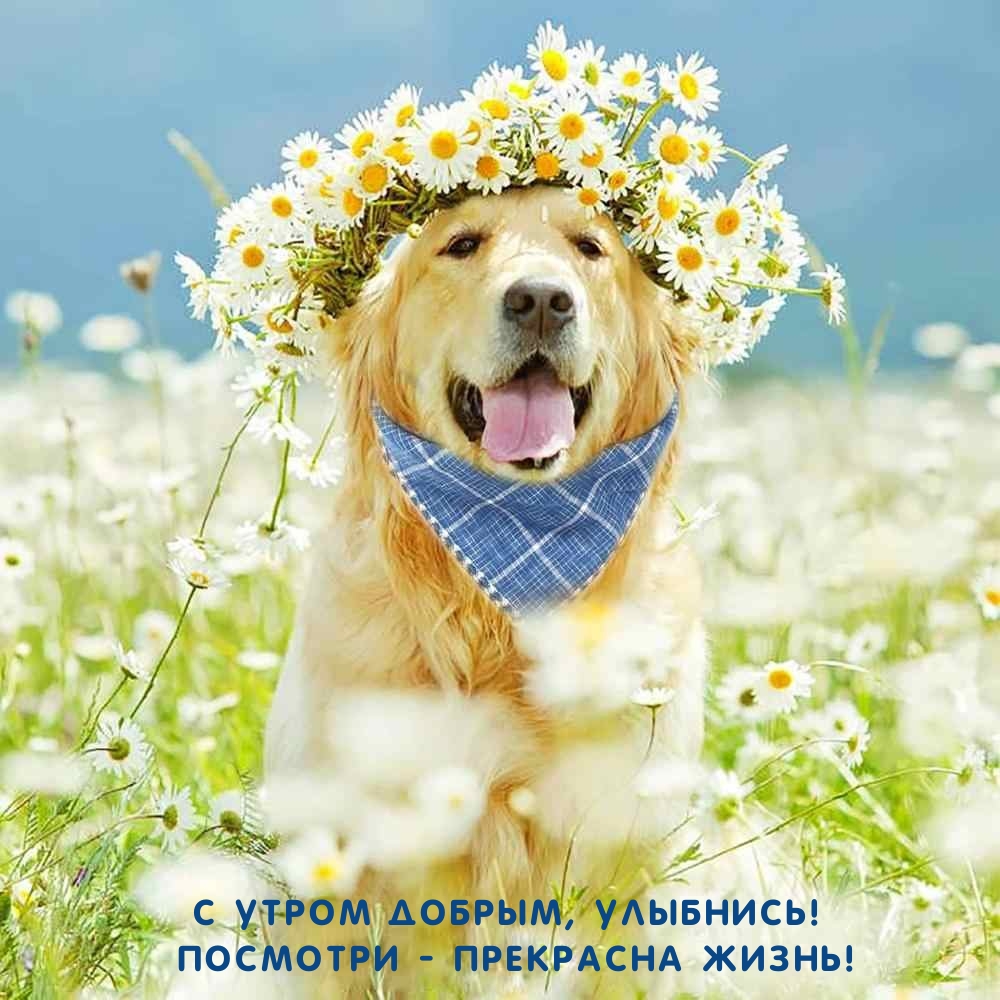 � ����� ������, ��������! �������� - ��������� �����!