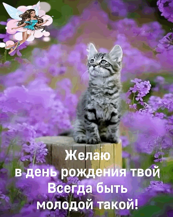 ����� � ���� �������� ������ ���� �������!