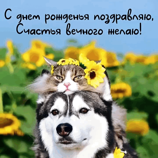 � ���� ��������, ������� ������� �����!