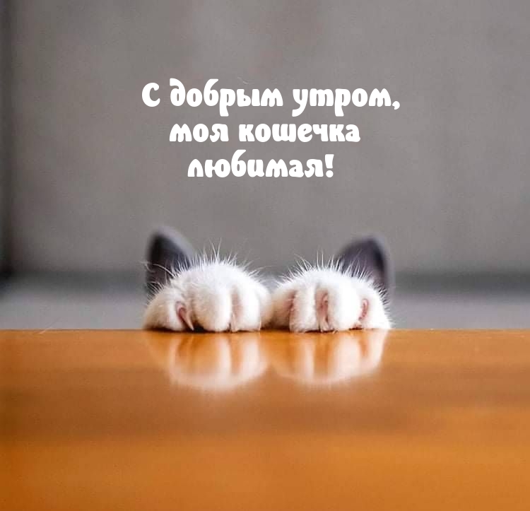 � ������ �����, ��� ������� �������!
