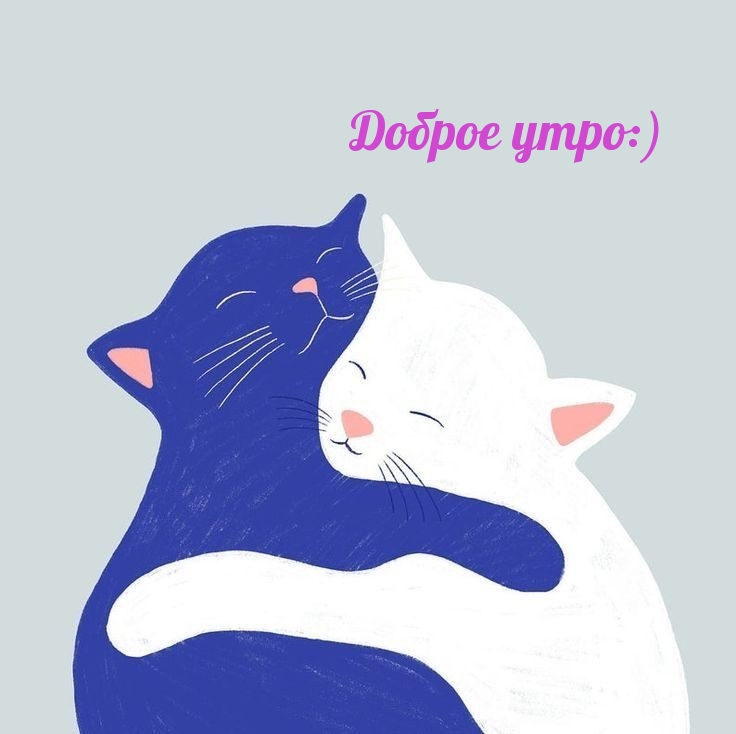 ������ ����:)