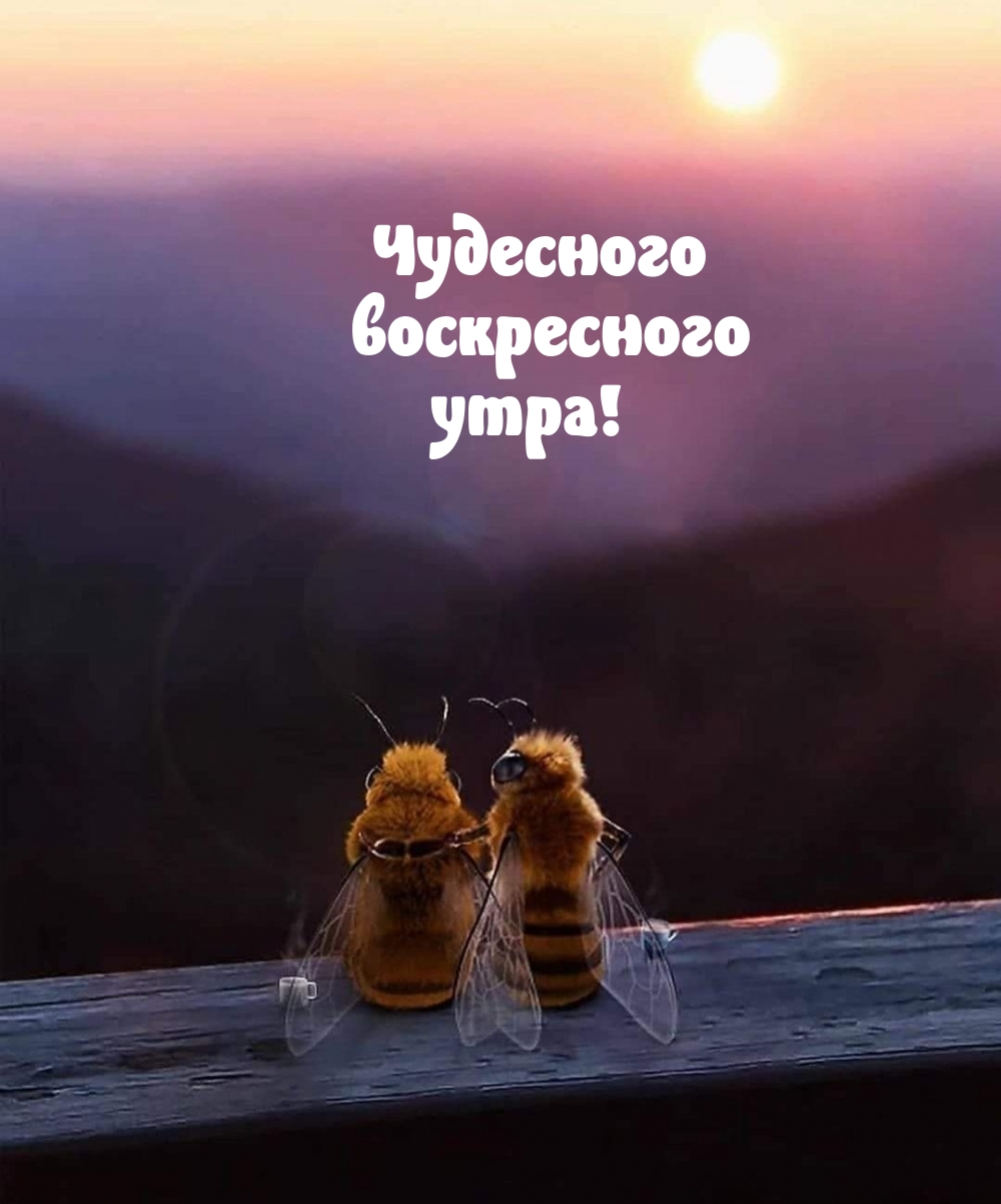 ��������� ����������� ����!