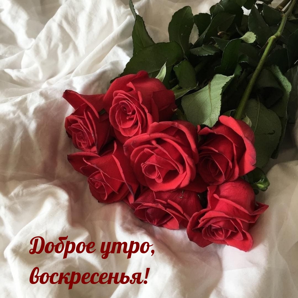 ������ ����, �����������!