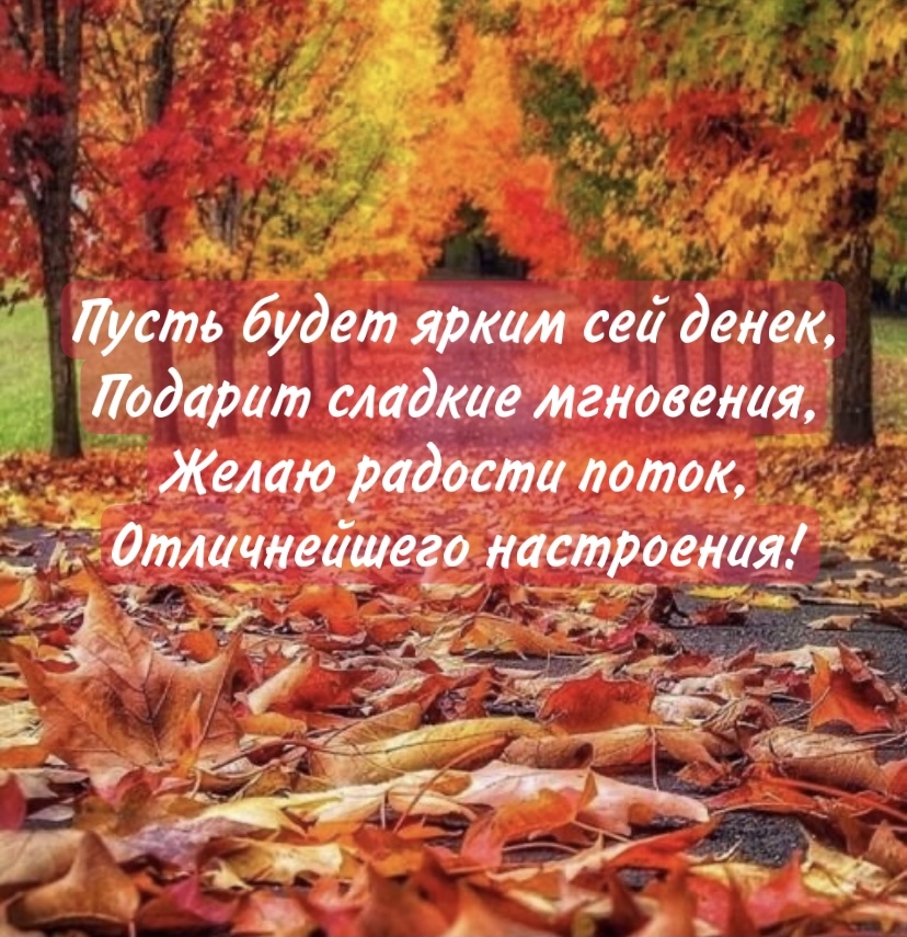 ����� ����� ����� ��� �����