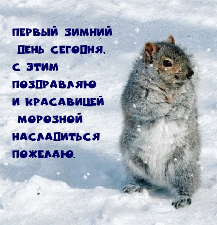 ������ ������ ���� �������