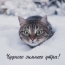 Чудного зимнего утра!